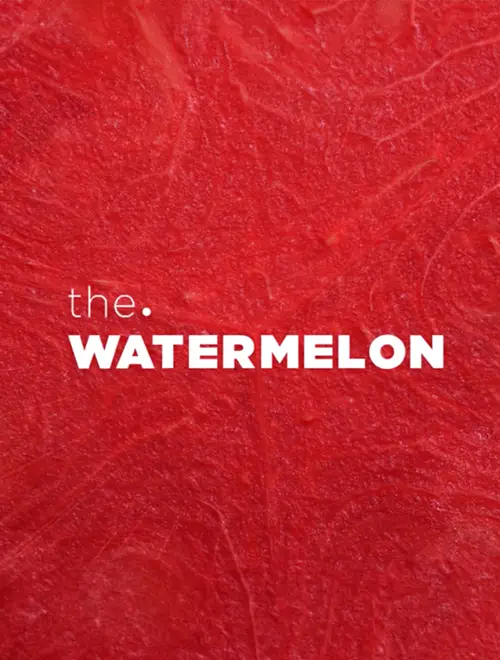 the.WATERMELON Showreel Campaign